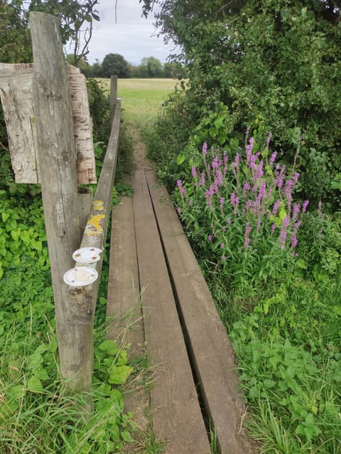 A wooded footpath in the Cotswolds