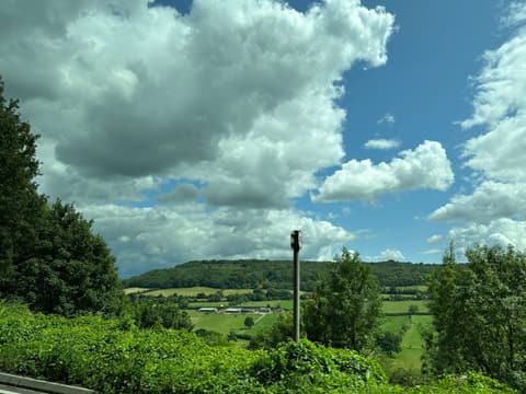 A green countryside road bordered by fields and trees