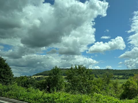 A country lane beside green fields and trees