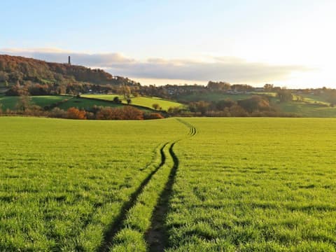 A footpath through a green field near Dursley in the Cotswolds