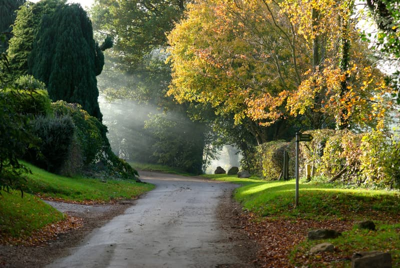 A quiet country lane curving through the Cotswolds, with sunbeams through the trees and a wooden footpath signpost
