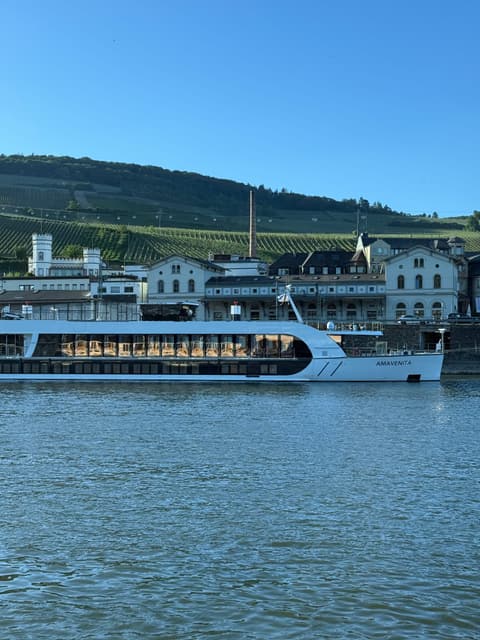 A river cruise ship docked along the Rhine in Rüdesheim, Germany, with vineyards on the hills above